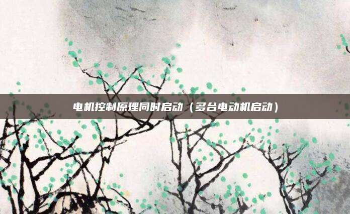电机控制原理同时启动（多台电动机启动）