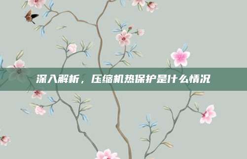 深入解析,压缩机热保护是什么情况
