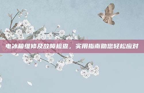 电冰箱维修及故障检查,实用指南助您轻松应对