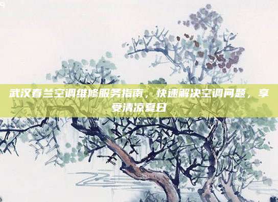 武汉春兰空调维修服务指南,快速解决空调问题,享受清凉夏日