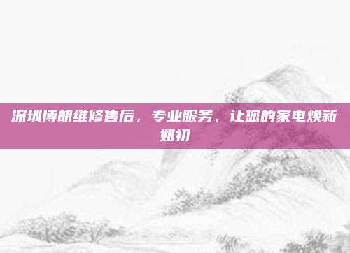 深圳博朗维修售后,专业服务,让您的家电焕新如初