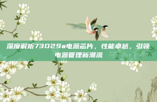 深度解析73D29a电源芯片,性能卓越,引领电源管理新潮流