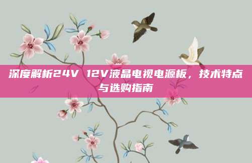深度解析24V 12V液晶电视电源板,技术特点与选购指南