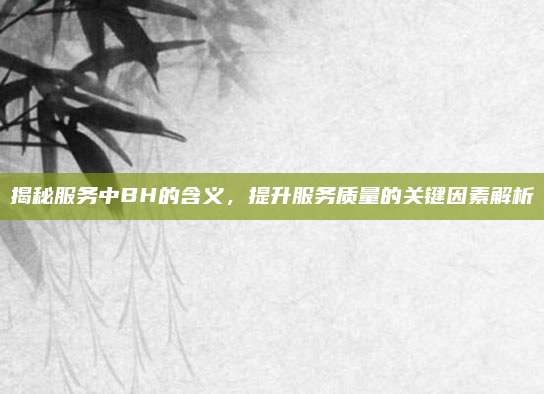 揭秘服务中BH的含义,提升服务质量的关键因素解析