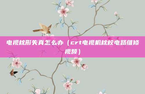 电视枕形失真怎么办（crt电视机枕校电路维修视频）