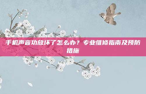 手机声音功放坏了怎么办?专业维修指南及预防措施
