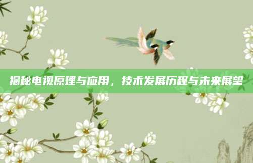 揭秘电视原理与应用,技术发展历程与未来展望
