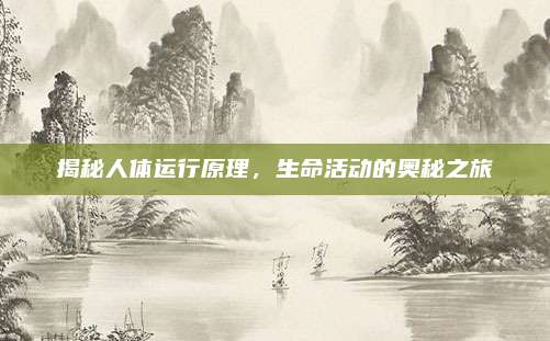 揭秘人体运行原理,生命活动的奥秘之旅