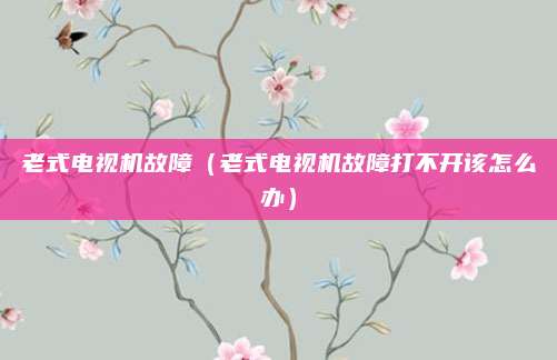 老式电视机故障（老式电视机故障打不开该怎么办）