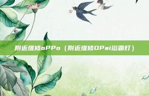 附近维修oPPo（附近维修OPai浴霸灯）