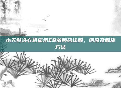 小天鹅洗衣机显示E9故障码详解,原因及解决方法