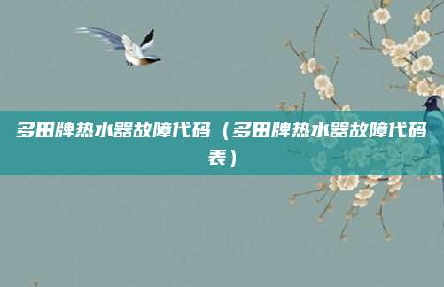 多田牌热水器故障代码(多田牌热水器故障代码表)