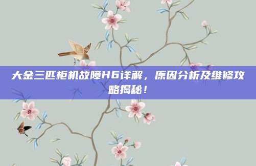 大金三匹柜机故障H6详解,原因分析及维修攻略揭秘!