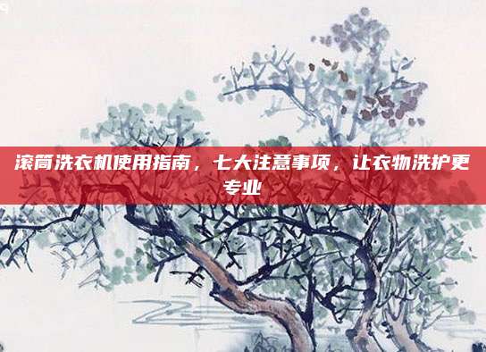 滚筒洗衣机使用指南,七大注意事项,让衣物洗护更专业