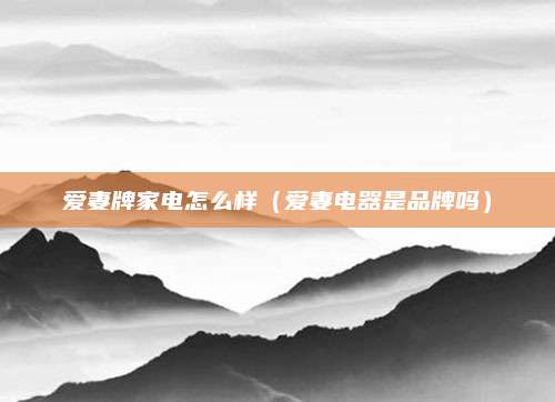 爱妻牌家电怎么样（爱妻电器是品牌吗）