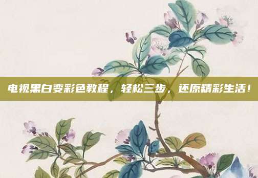 电视黑白变彩色教程,轻松三步,还原精彩生活!