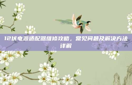12伏电源适配器维修攻略,常见问题及解决方法详解