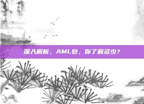 深入解析,AML包,你了解多少?