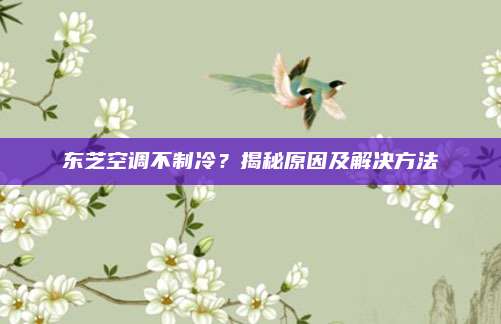 东芝空调不制冷？揭秘原因及解决方法