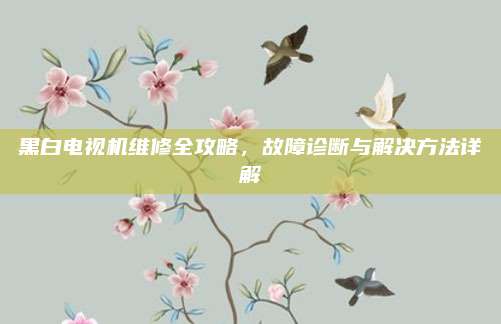 黑白电视机维修全攻略,故障诊断与解决方法详解
