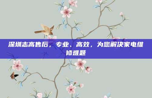 深圳志高售后,专业、高效,为您解决家电维修难题