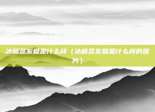 冰箱蒸发盘是什么样（冰箱蒸发盘是什么样的图片）