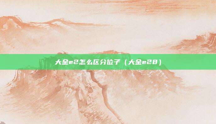 大金e2怎么区分位子(大金e28)