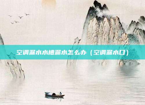 空调漏水水槽漏水怎么办（空调漏水口）