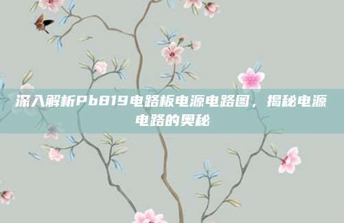 深入解析Pb819电路板电源电路图,揭秘电源电路的奥秘