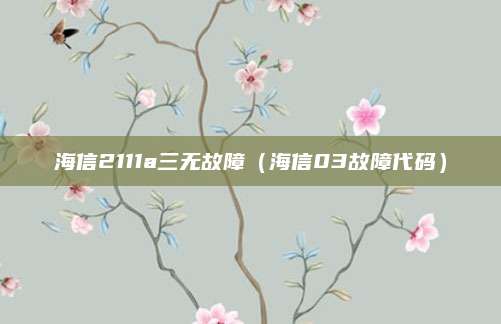 海信2111a三无故障(海信03故障代码)