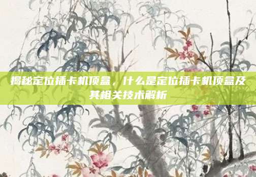 揭秘定位插卡机顶盒,什么是定位插卡机顶盒及其相关技术解析
