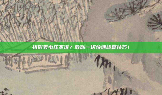 钳形表电压不准?教你一招快速修复技巧!
