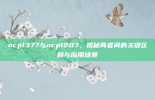 ncp1377与ncp1207,揭秘两者间的关键区别与应用场景