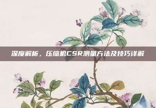 深度解析,压缩机CSR测量方法及技巧详解