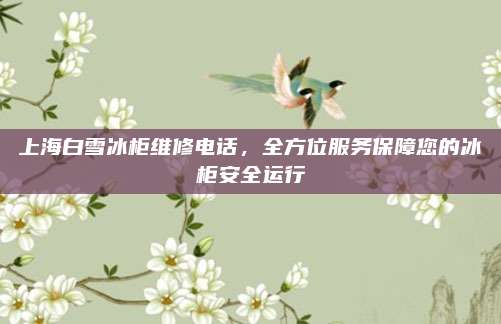 上海白雪冰柜维修电话,全方位服务保障您的冰柜安全运行