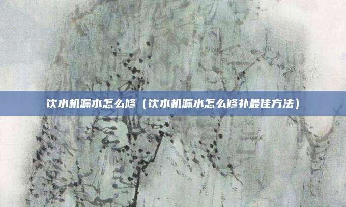 饮水机漏水怎么修(饮水机漏水怎么修补最佳方法)