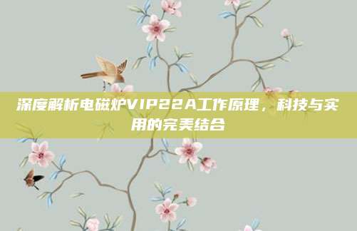深度解析电磁炉VIP22A工作原理,科技与实用的完美结合