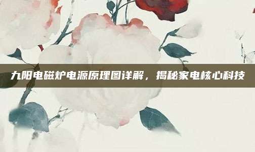 九阳电磁炉电源原理图详解,揭秘家电核心科技