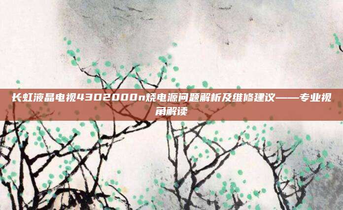 长虹液晶电视43D2000n烧电源问题解析及维修建议——专业视角解读