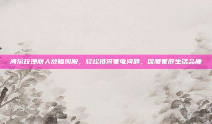 海尔玫瑰丽人故障图解,轻松排查家电问题,保障家庭生活品质