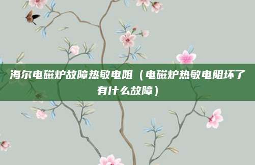 海尔电磁炉故障热敏电阻（电磁炉热敏电阻坏了有什么故障）