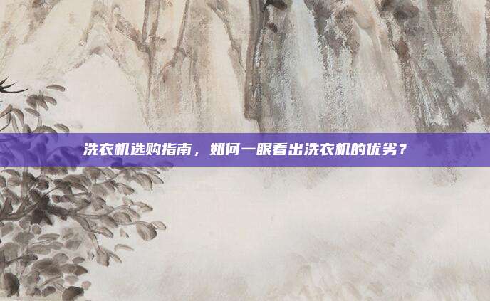 洗衣机选购指南,如何一眼看出洗衣机的优劣?