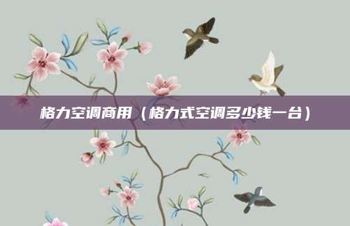 格力空调商用（格力式空调多少钱一台）