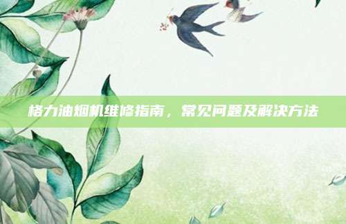 格力油烟机维修指南,常见问题及解决方法