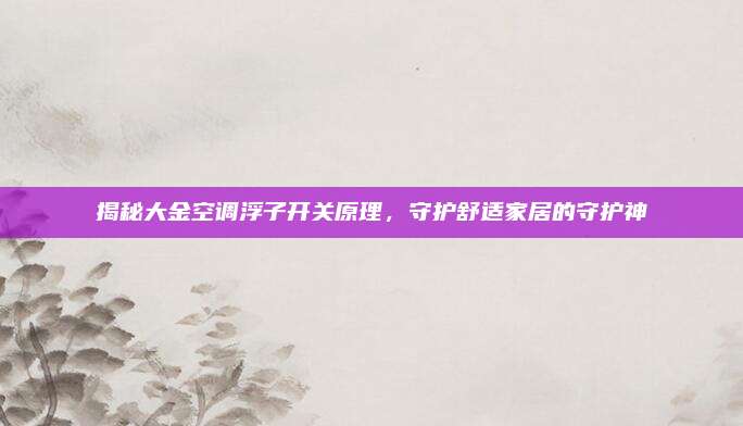 揭秘大金空调浮子开关原理,守护舒适家居的守护神