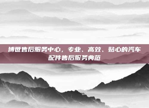 博世售后服务中心,专业、高效、贴心的汽车配件售后服务典范