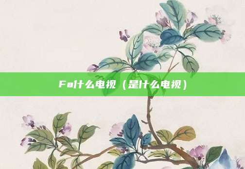 Fa什么电视（是什么电视）