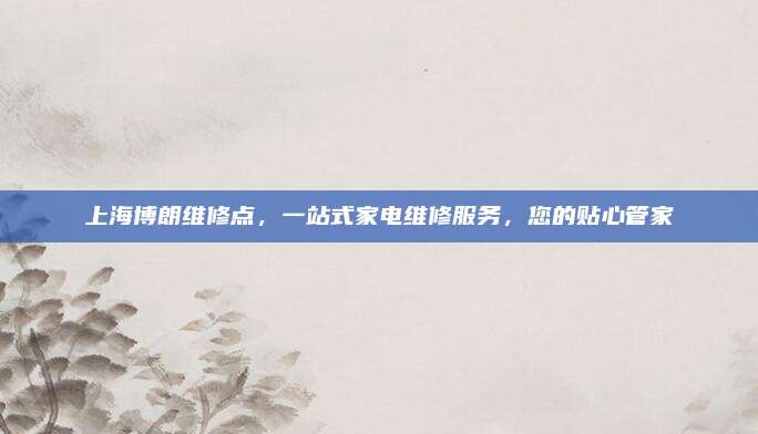 上海博朗维修点,一站式家电维修服务,您的贴心管家