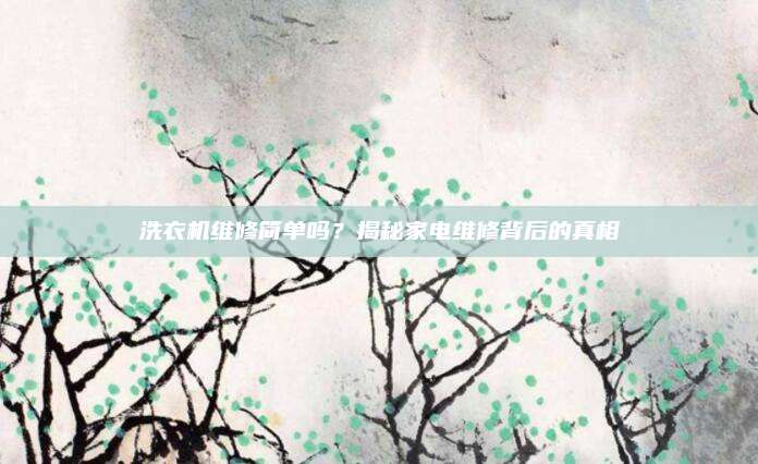 洗衣机维修简单吗?揭秘家电维修背后的真相