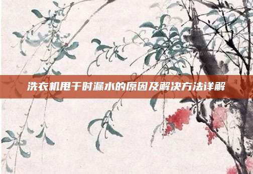 洗衣机甩干时漏水的原因及解决方法详解